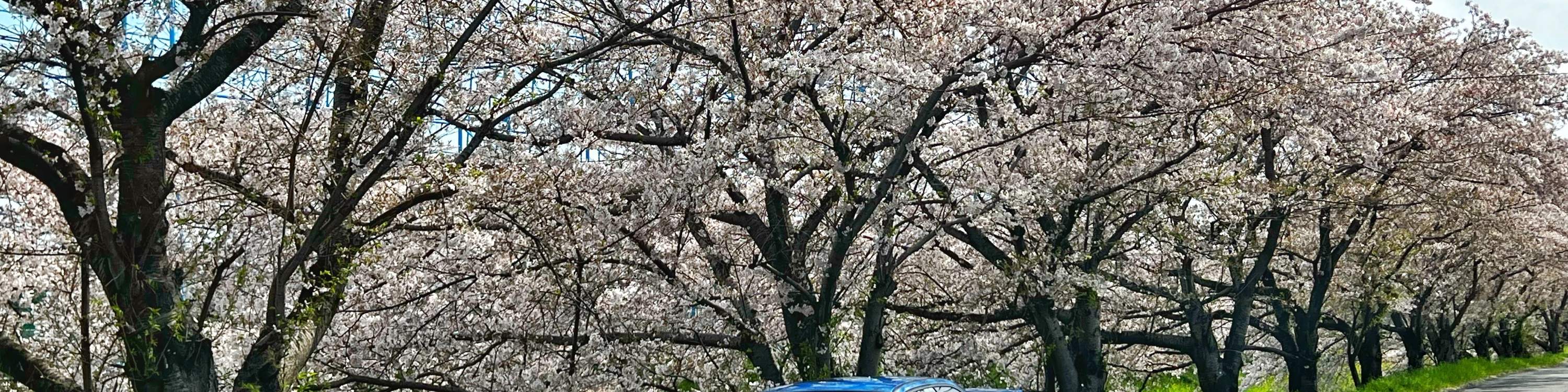 Subaru GC8 (versione originale anime)